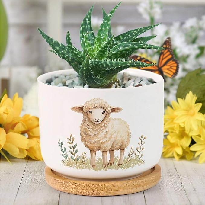 DreamAutumn Cute Easter Lamb Planter Ceramic Round Plant Pots with Drainage Holes and Bamboo Tray... | Amazon (US)