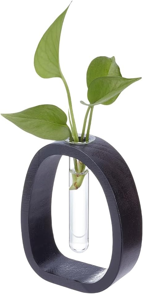 UNICRAFTALE Black Solid Wood Vase Small Desk Hydroponic Plant Frame Glass Test Tube Vases Decorat... | Amazon (US)