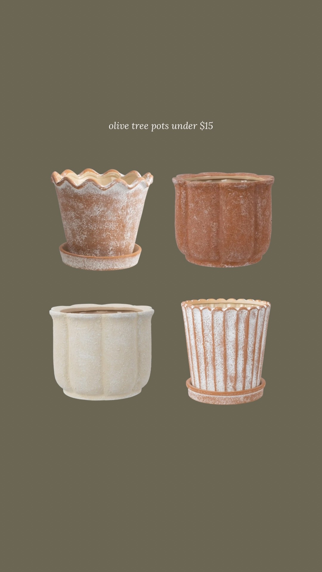 Pots under $15 for the $10 Trader Joe’s olive tree from my reel!