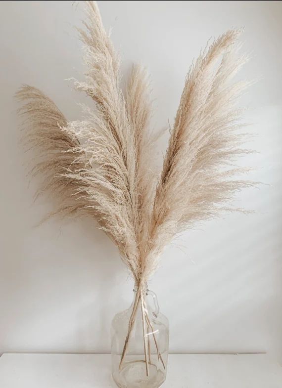 5pcs LARGE PAMPAS GRASS 3ft  Dried Flowers for Interior - Etsy | Etsy (US)