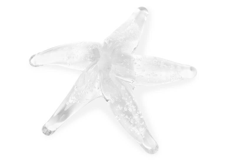 Starfish Decor Clear | Urban Barn