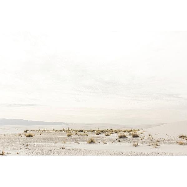 WHITE SANDS | Juniper Print Shop