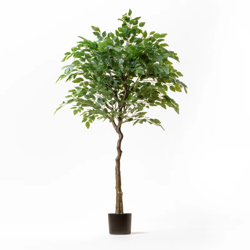 Carlos Artificial Ficus Tree in Pot | Wayfair North America