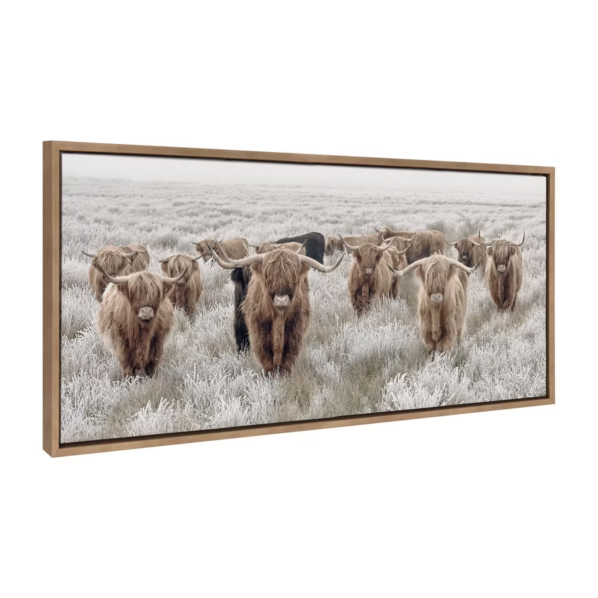 18" x 40" Sylvie Herd of Highland Cows Color Framed Canvas by Creative Bunch Gold - Kate & Laurel... | Target