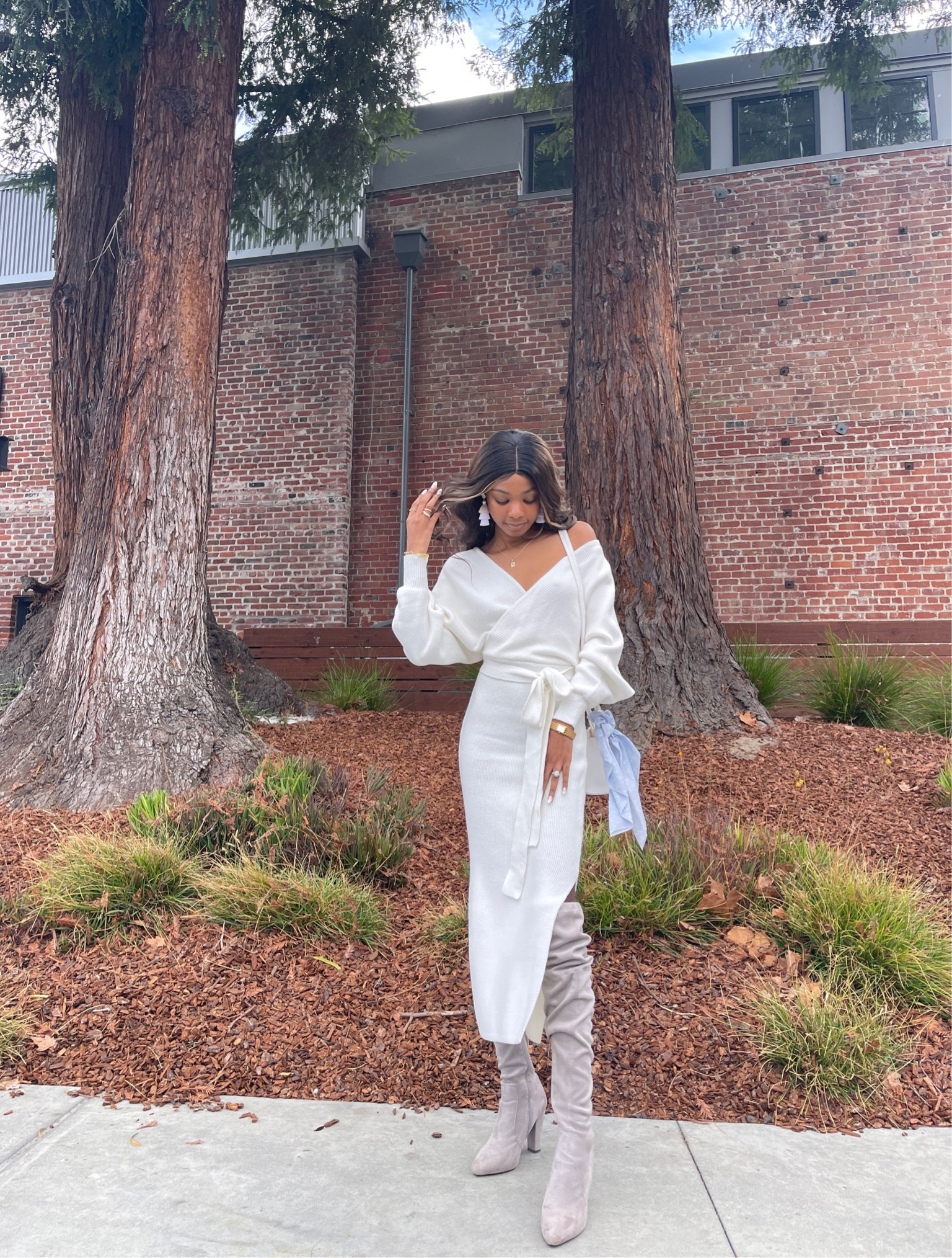 The winter dress of my dreams 🥰 Such a cute Holiday Dress! #giftguide #holidaydress

#LTKfindsunder100 #LTKGiftGuide #LTKHoliday