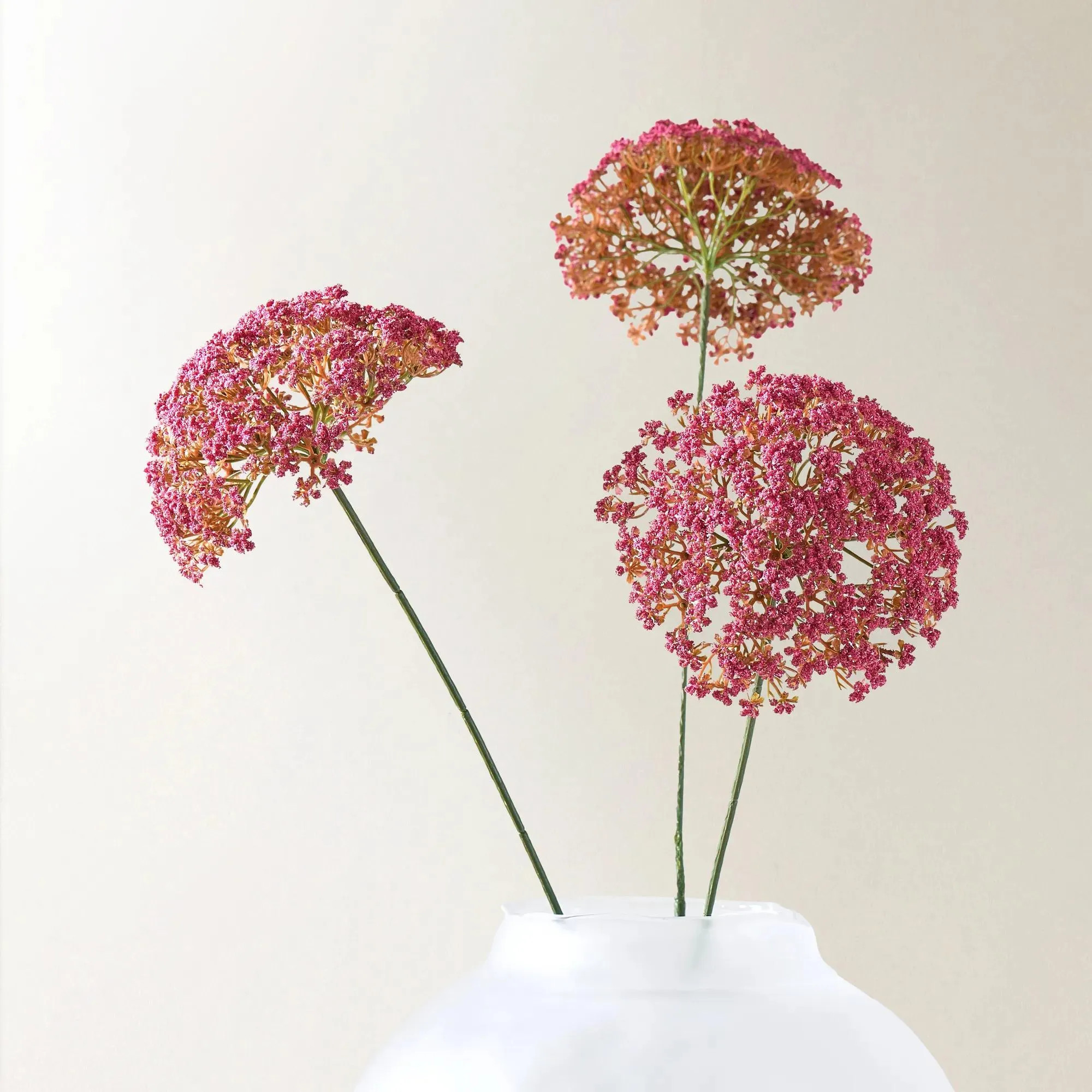 Berry Pink Heracleum 29" - Set of 3 | Z Gallerie
