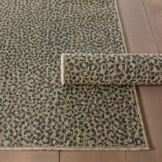 Carrie Indoor/Outdoor Rug | Ballard Designs, Inc.