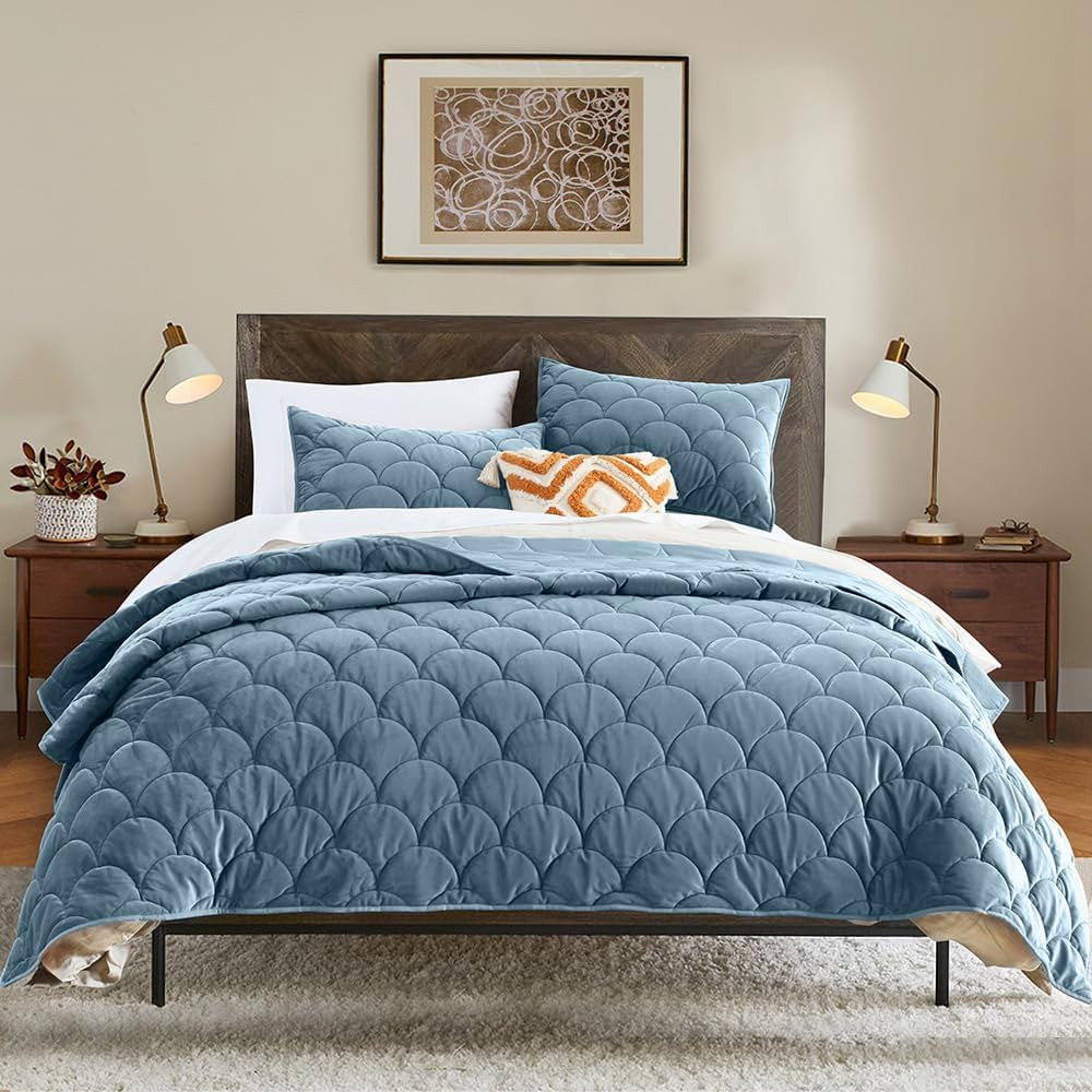 HORIMOTE HOME Velvet Quilt Set Queen Size, Light Blue Luxury Velvet Comforter Set 3 Pieces Soft W... | Amazon (US)