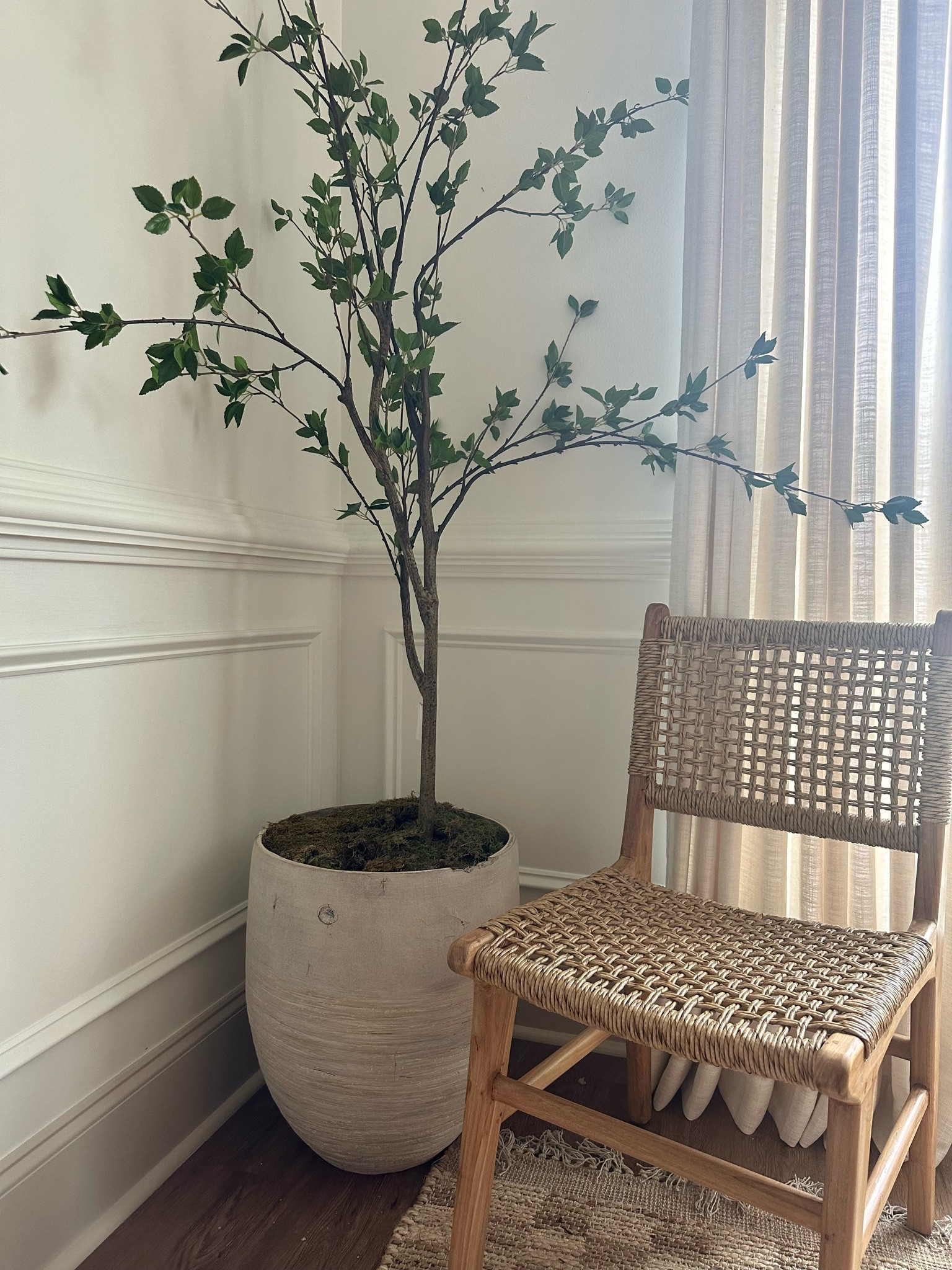Homegoods chair!
Woven chair
Citrus tree
Tree
Planters
Dining chair 

#LTKhome