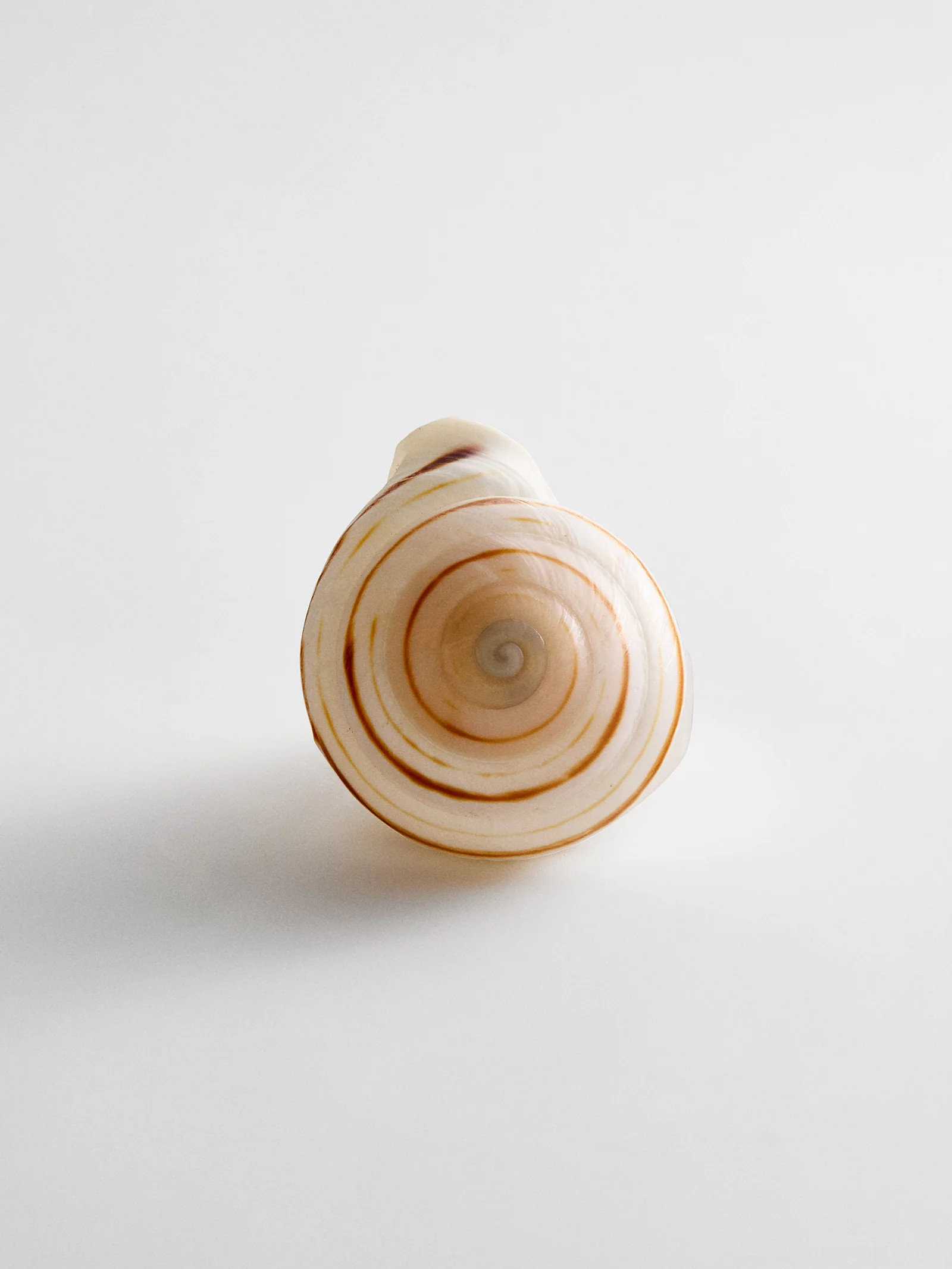 Santana Shell Statement Ring - Natural | BaubleBar