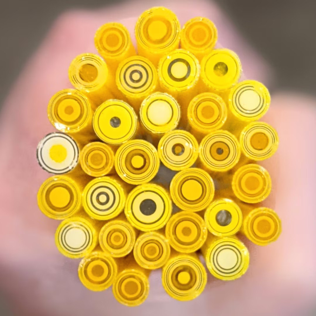 COE 90 Murrini Sunshine Daisies 1oz Millefiori, Murrine, Vitrigraph, Bullseye Murrini, Glass Cane... | Etsy (US)