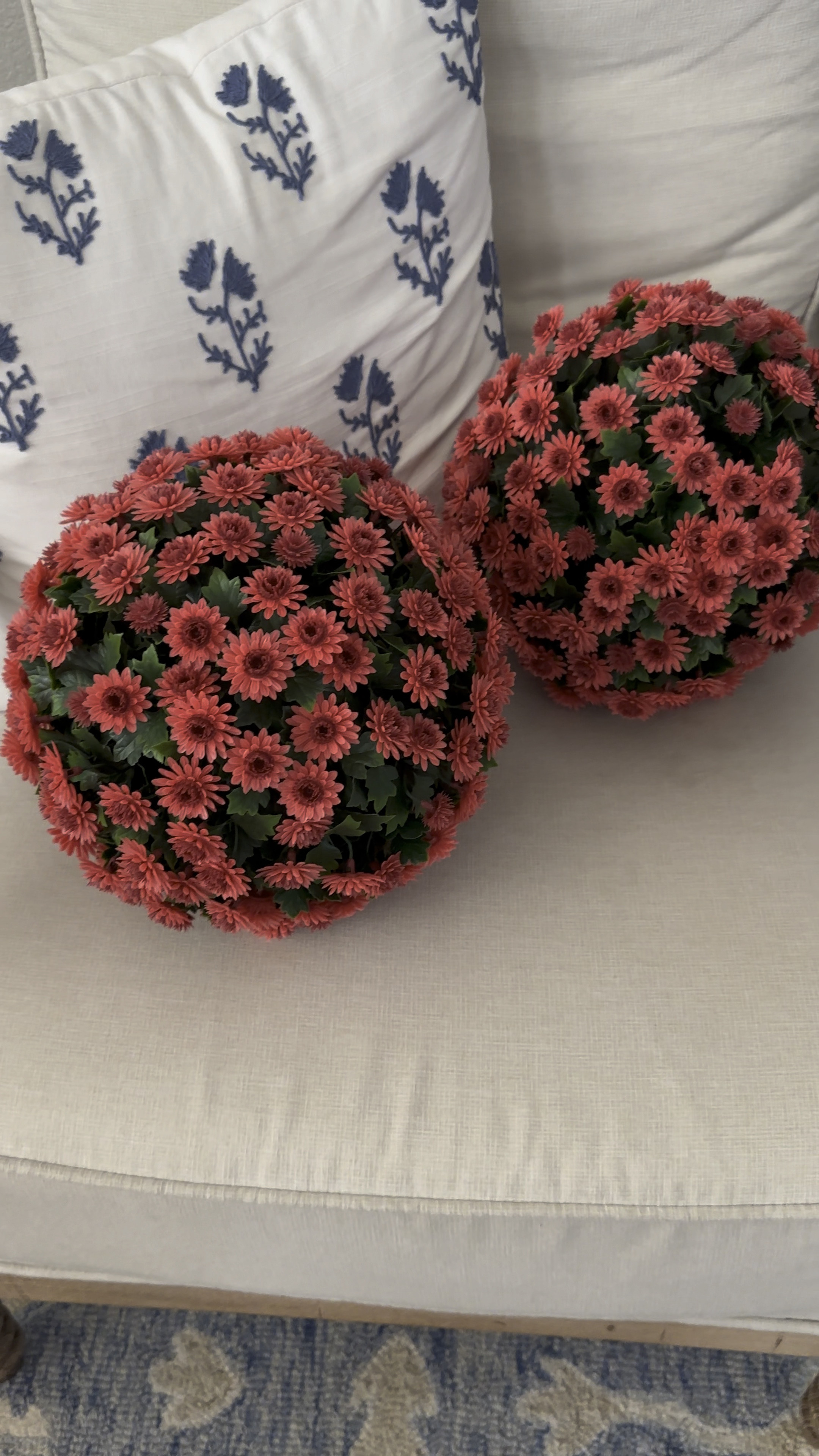 The faux mums have arrived and they are perfect! This is the exact size I needed. When the others come in stock I’ll let you all know. 

#LTKhome #LTKFind #LTKSeasonal