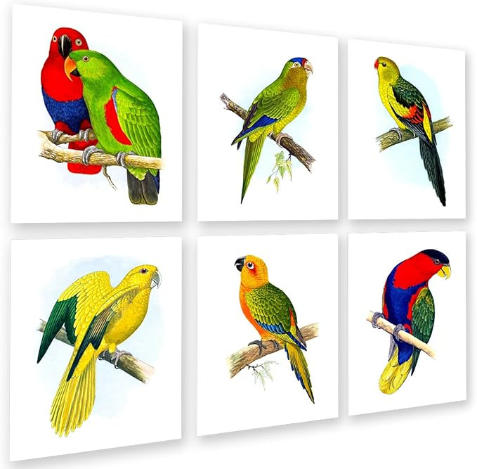 Gnosis Picture Archive Tropical Birds Parrots Art Decor Set of 6 Unframed Wall Art Prints, Living... | Amazon (US)