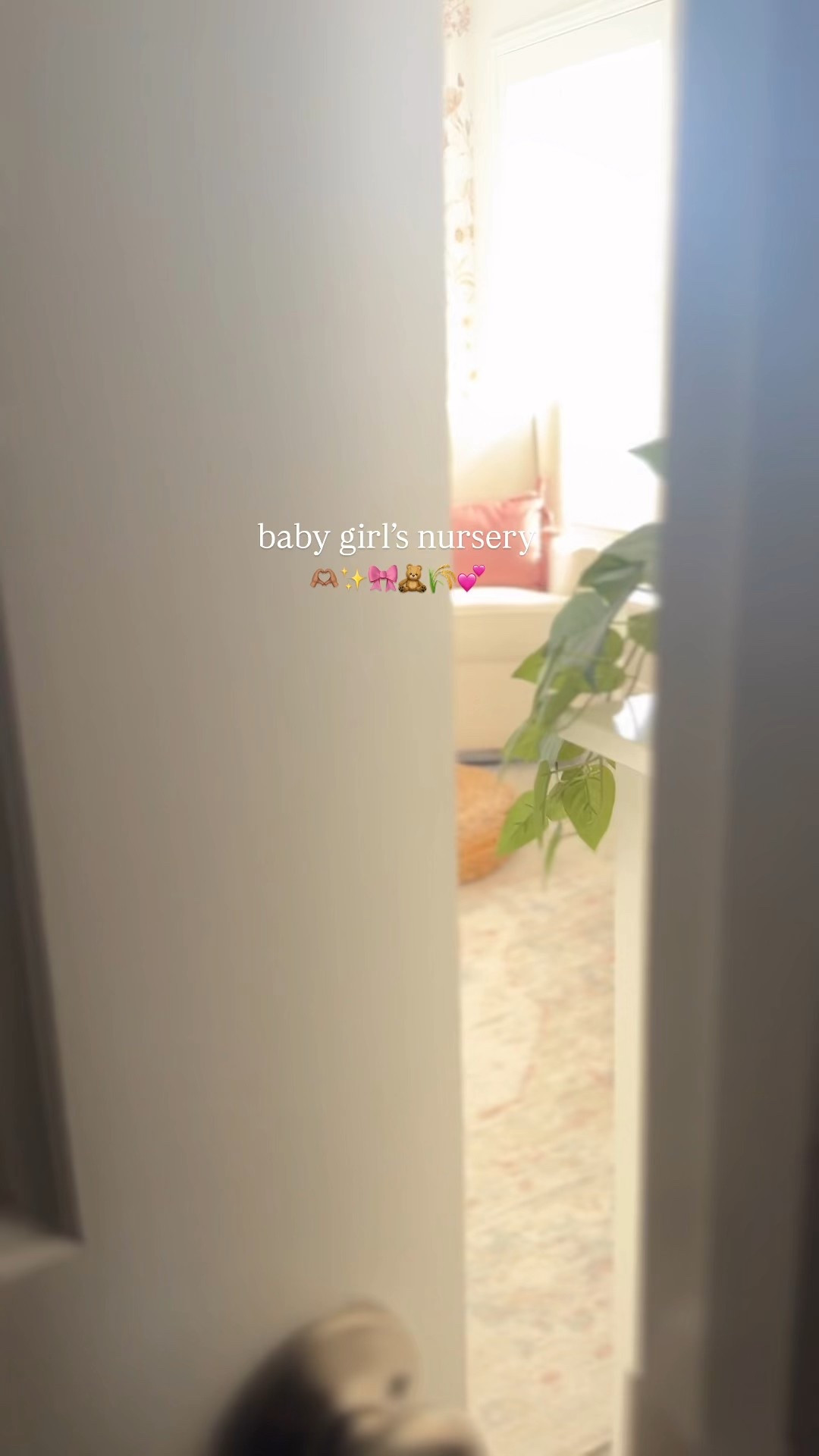 Baby girls nursery 💕


#LTKBaby #LTKBump #LTKHome