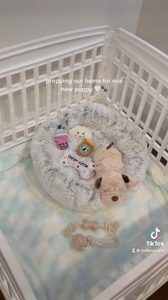 puppy prep, puppy set up, dog bed, checkered blanket, dog toys, chewy Vuitton, puppy play pen, holographic dog bowl, new puppy, aesthetic puppy

#LTKbaby #LTKfamily #LTKhome
