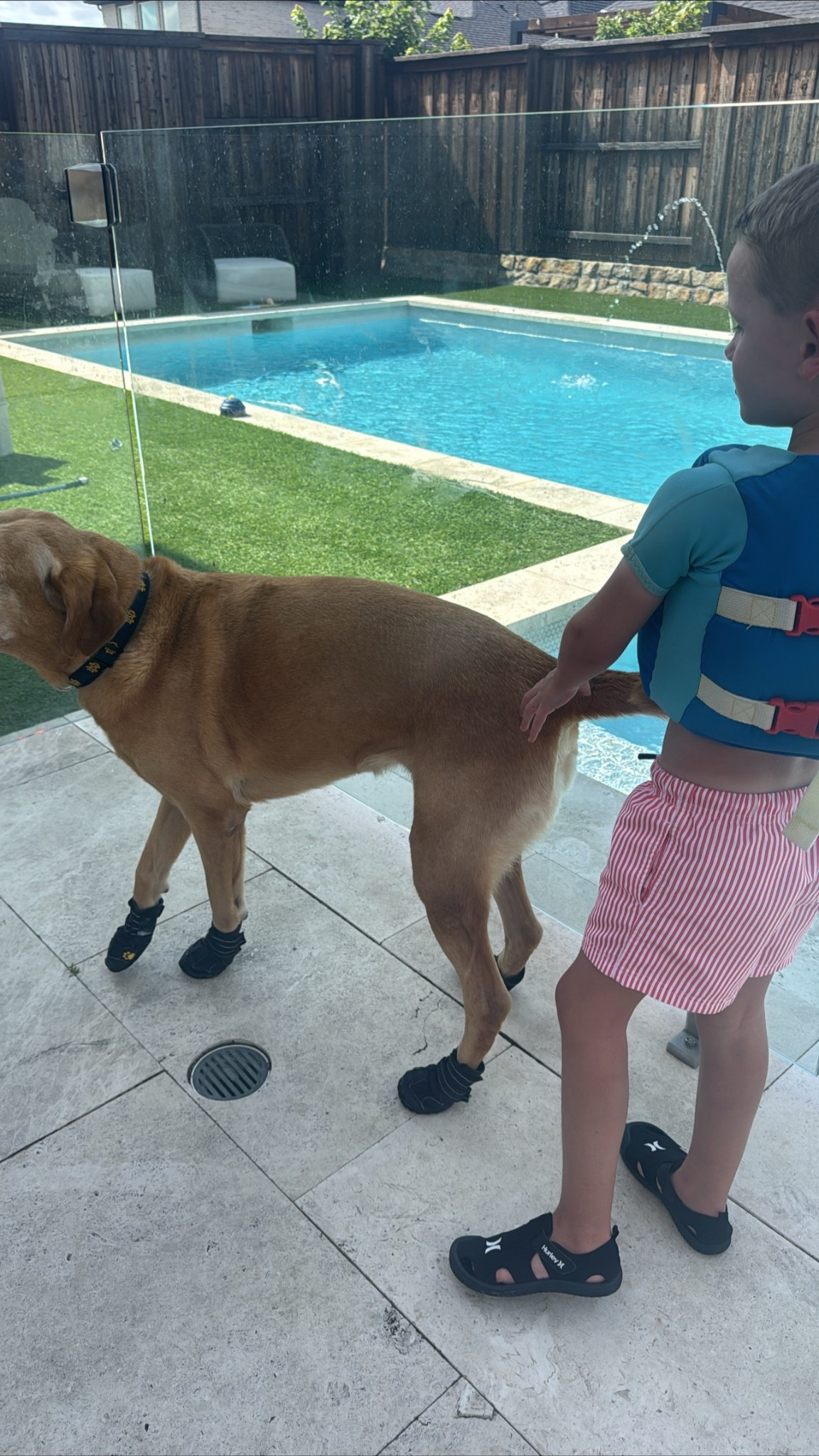 Gray & Chloe all ready for swimming in our pool! We recently bought them both swimshoes on Amazon for the summer! 💦

#swim #pool #shoes #family #kids #dog #pet #summer #home

#LTKFamily #LTKSeasonal #LTKSwim