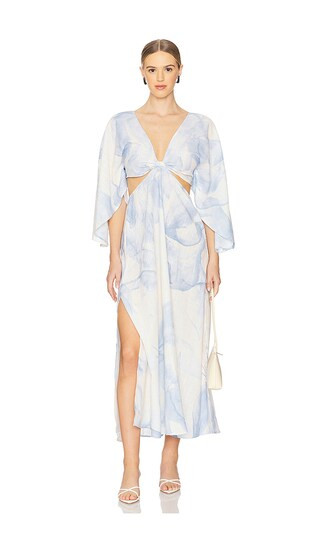 Avalon Long Dress in Blossom | Revolve Clothing (Global)