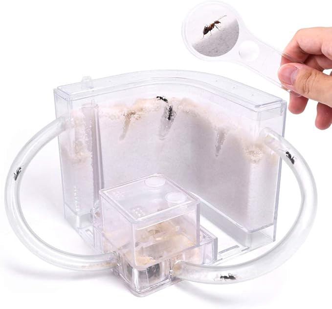 NAVAdeal Sand Ant Farm with Connecting Tubes, Habitat Educational & Learning Science Kit Toy for ... | Amazon (US)