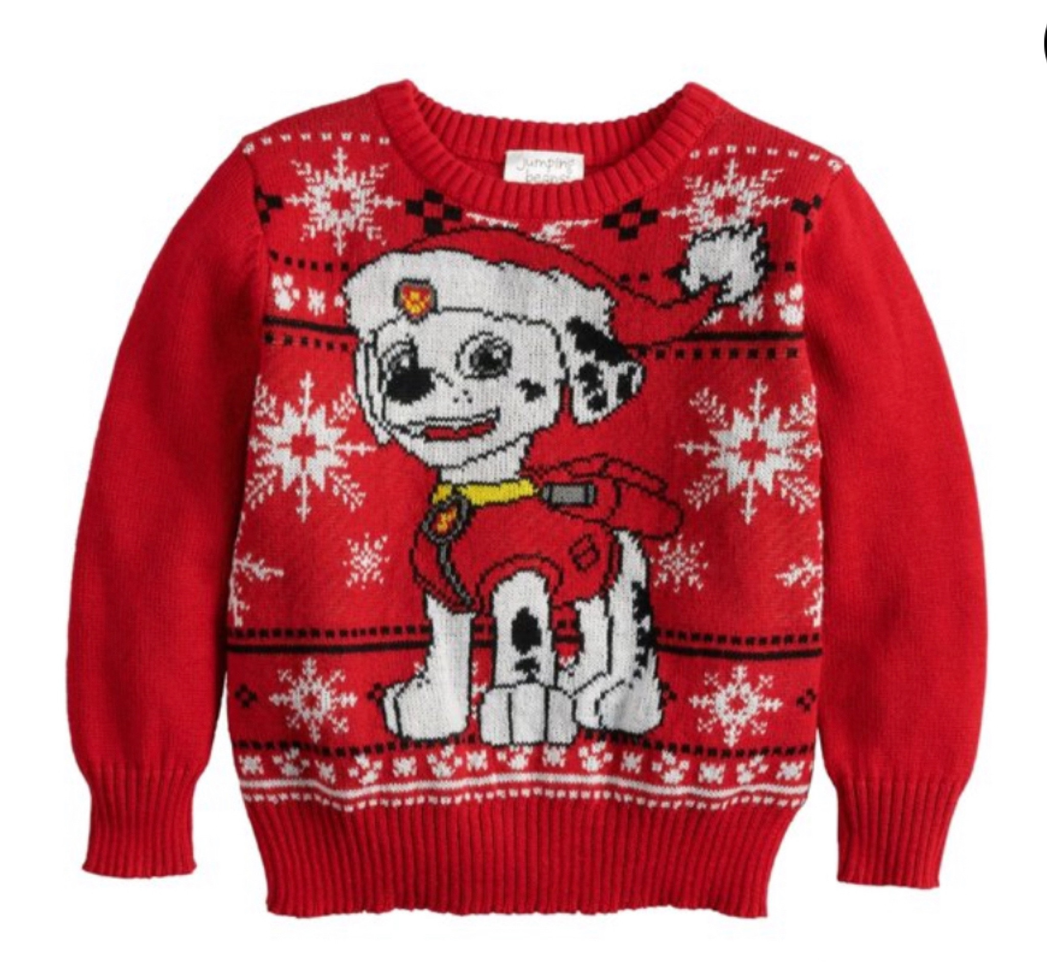 Paw Patrol Holiday Sweater

#LTKHoliday #LTKkids #LTKSeasonal
