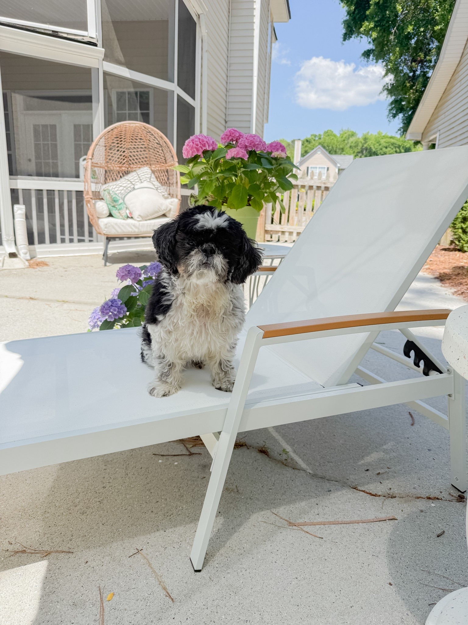 Patio chairs
Outdoor furniture
Outdoor lounge chair chairs
Patio decor
Home renovation

#LTKdayinmylife #LTKSeasonal #LTKHome