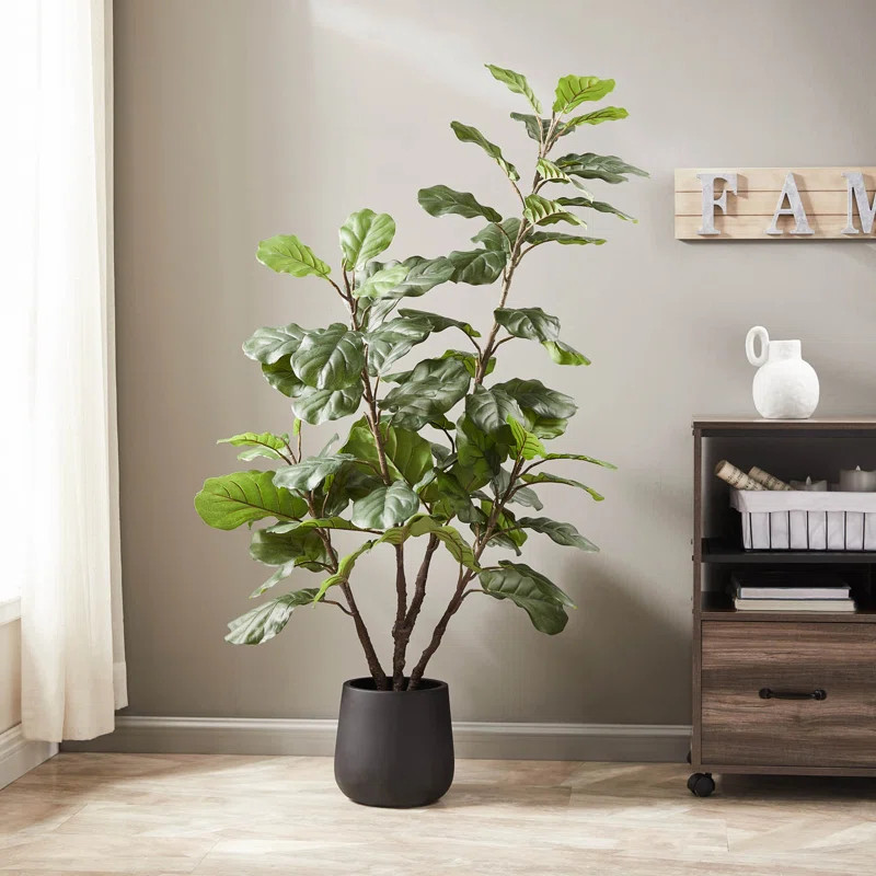 50'" Fiddle Leaf Fig Tree in Pot | Wayfair North America