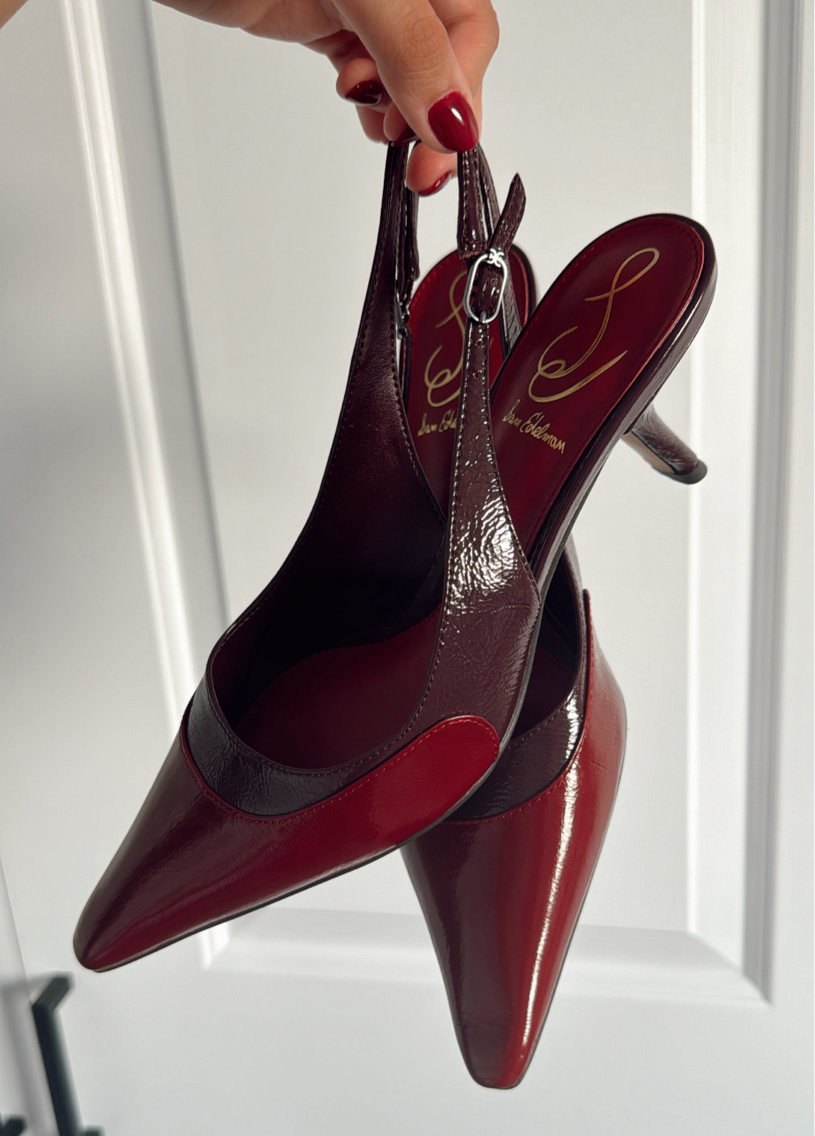 Perfect fall shoes from Sam Edelman! 🍂 

#LTKWorkwear #LTKShoeCrush #LTKSeasonal