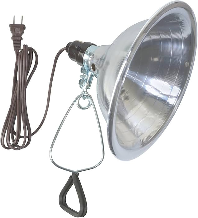 Woods Clamp Lamp Light with Aluminum Reflector; 150W; UL Listed; 6- Foot Cord | Amazon (US)