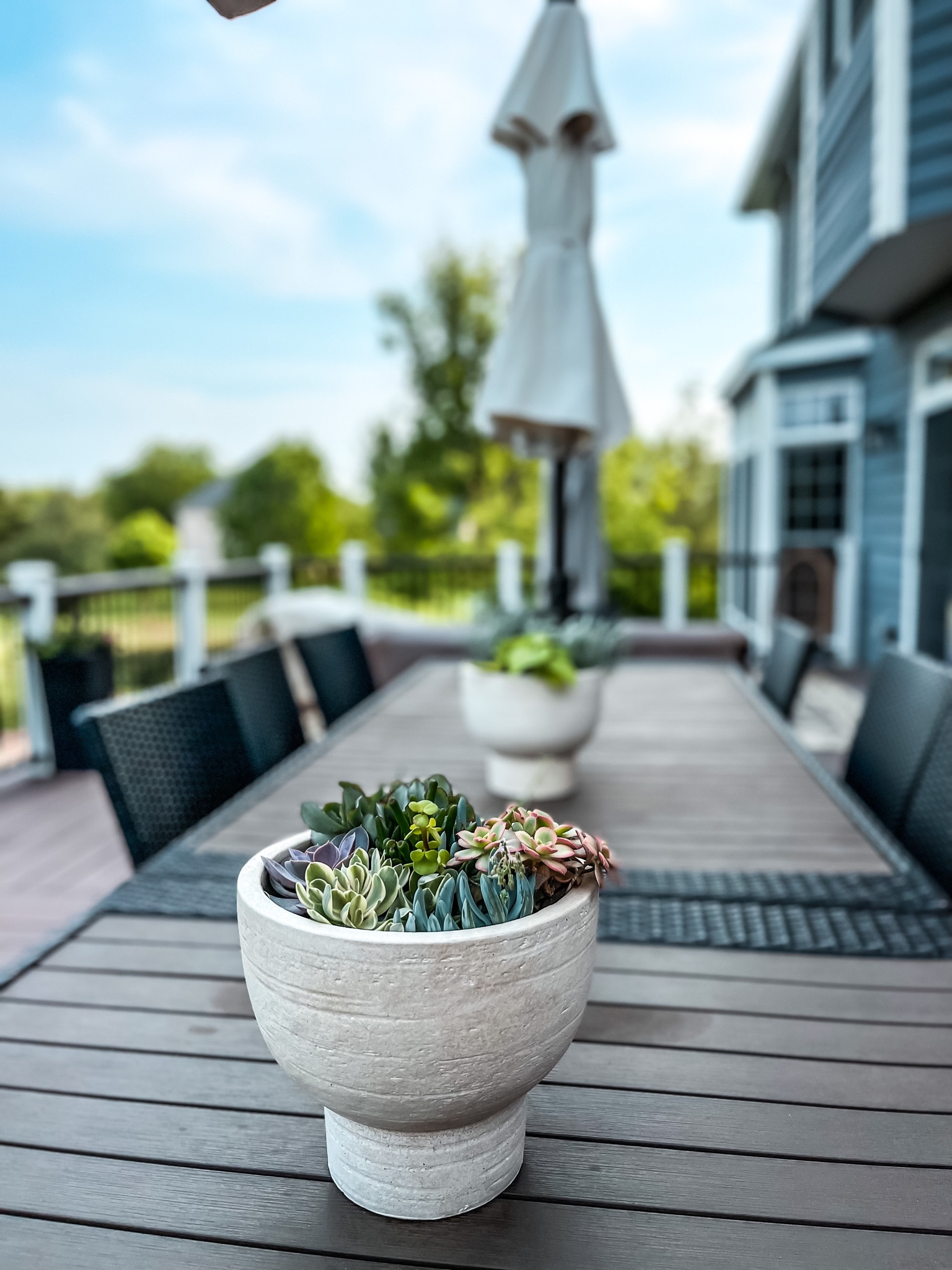 Outdoor/ indoor planter with tray and drainage hole
- succulent center piece 
#ltksalealert

#LTKFind #LTKhome #LTKunder50