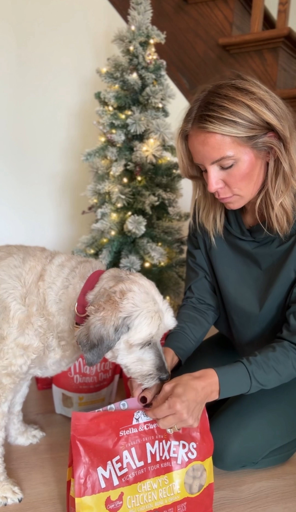  #ad Ellie Mae loves her some @stellaandchewys!!

 #Target, #TargetPartner, #StellaAndChewys
@target #stellaattarget