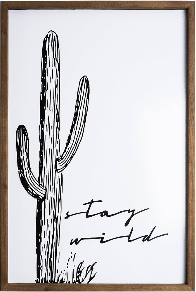 Desert Cactus Wall Decor Wood Boho Southwestern Minimalist Wall Hanging Framed Black And White Ar... | Amazon (US)