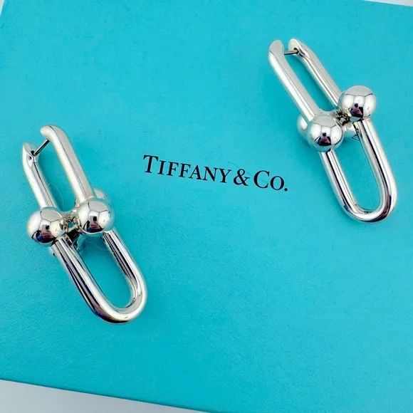 Tiffany & Co. HardWear Extra Large Link Earrings in Sterling Silver | Poshmark
