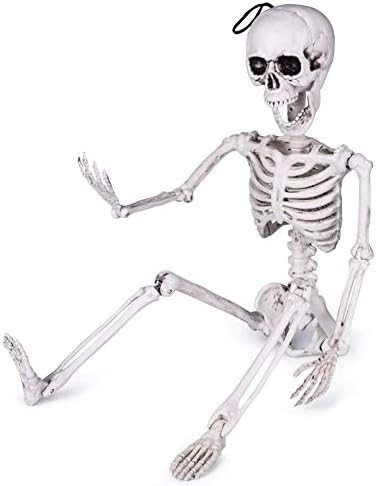 FUN LITTLE TOYS 24 Inches Halloween Posable Skeleton, Full Body Skeleton Movable Joints, Plastic Bon | Amazon (US)