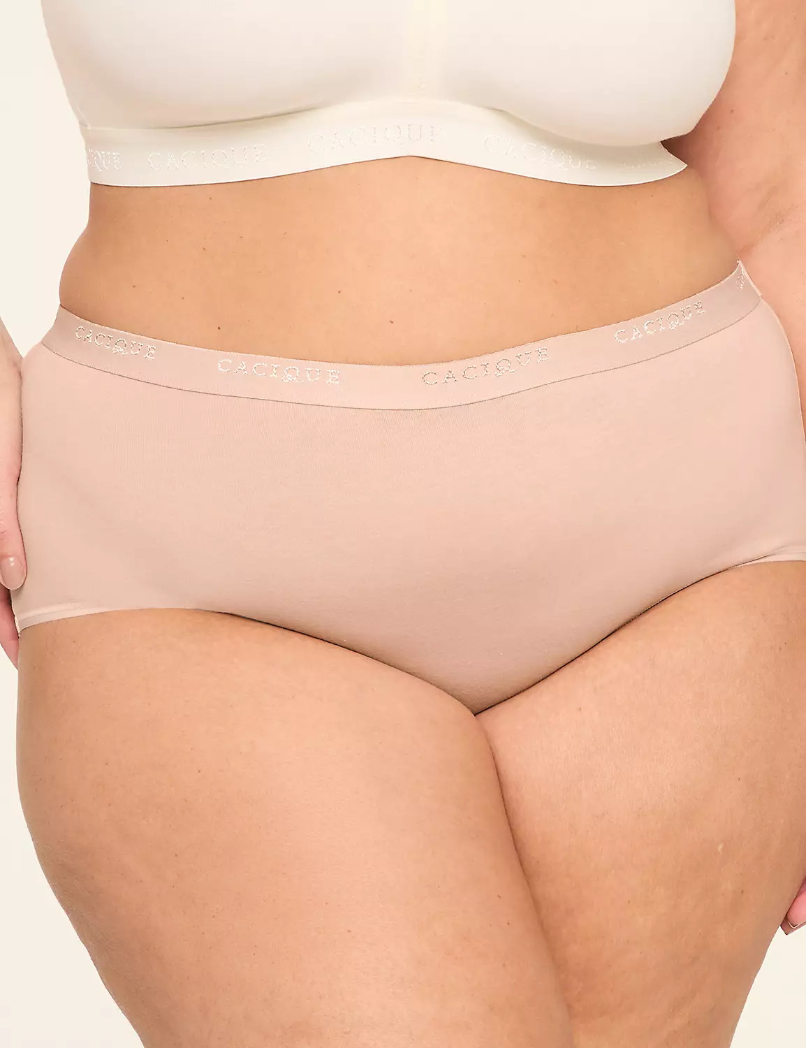 Cotton Full Brief Panty | LaneBryant | Lane Bryant (US)