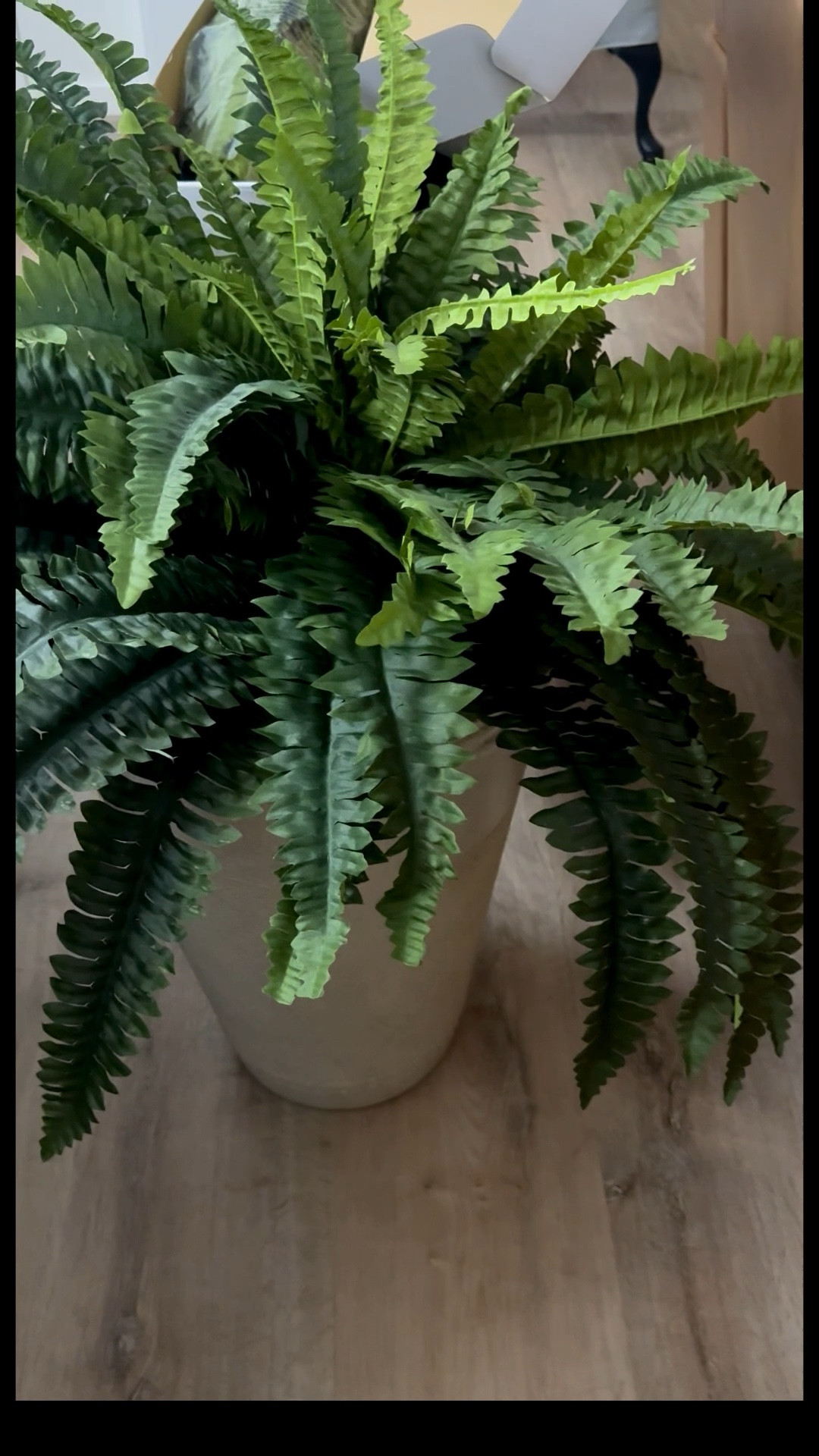 Beautiful ferns! I’m so pleased with the quality of these. I ordered the 42 inch and they are huge! They come in a 2 pack. Perfect for my front porch spring refresh. 🌿



#LTKHome #LTKSeasonal