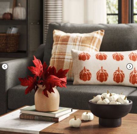 Living room fall decor

Target / pumpkin bowl filler / vase fall picks / fall stems / affordable fall decor / pumpkin pillow / plaid pillow 

#LTKstyletip #LTKSeasonal #LTKhome