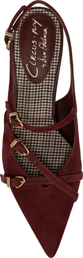 Fraya Slingback Pointed Toe Pump (Women) | Nordstrom