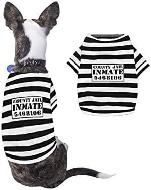 Halloween Pet Dog Costume Funny Cute Halloween Outfit Shirt for Small Dogs and Cats (Prisoner, Sm... | Amazon (US)