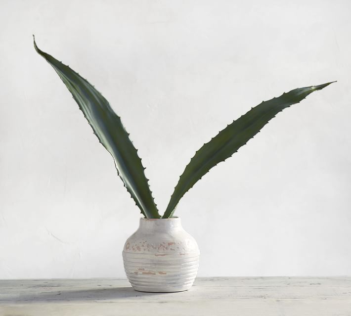Faux Aloe Leaf | Pottery Barn (US)