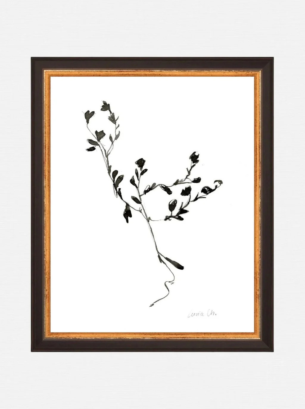 Botanical Sketch | House of Jade Home