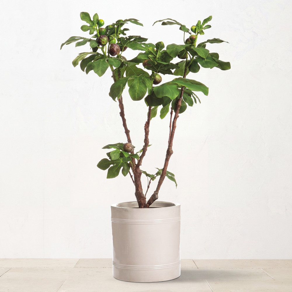Faux Fig Tree in Pot, 46" | Williams-Sonoma