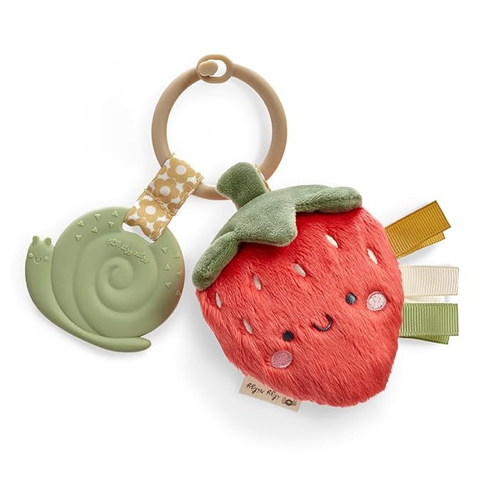Itzy Ritzy Infant Toy & Teether - Itzy Pal Baby Teething Toy Includes Lovey, Crinkle Sound, Textu... | Amazon (US)