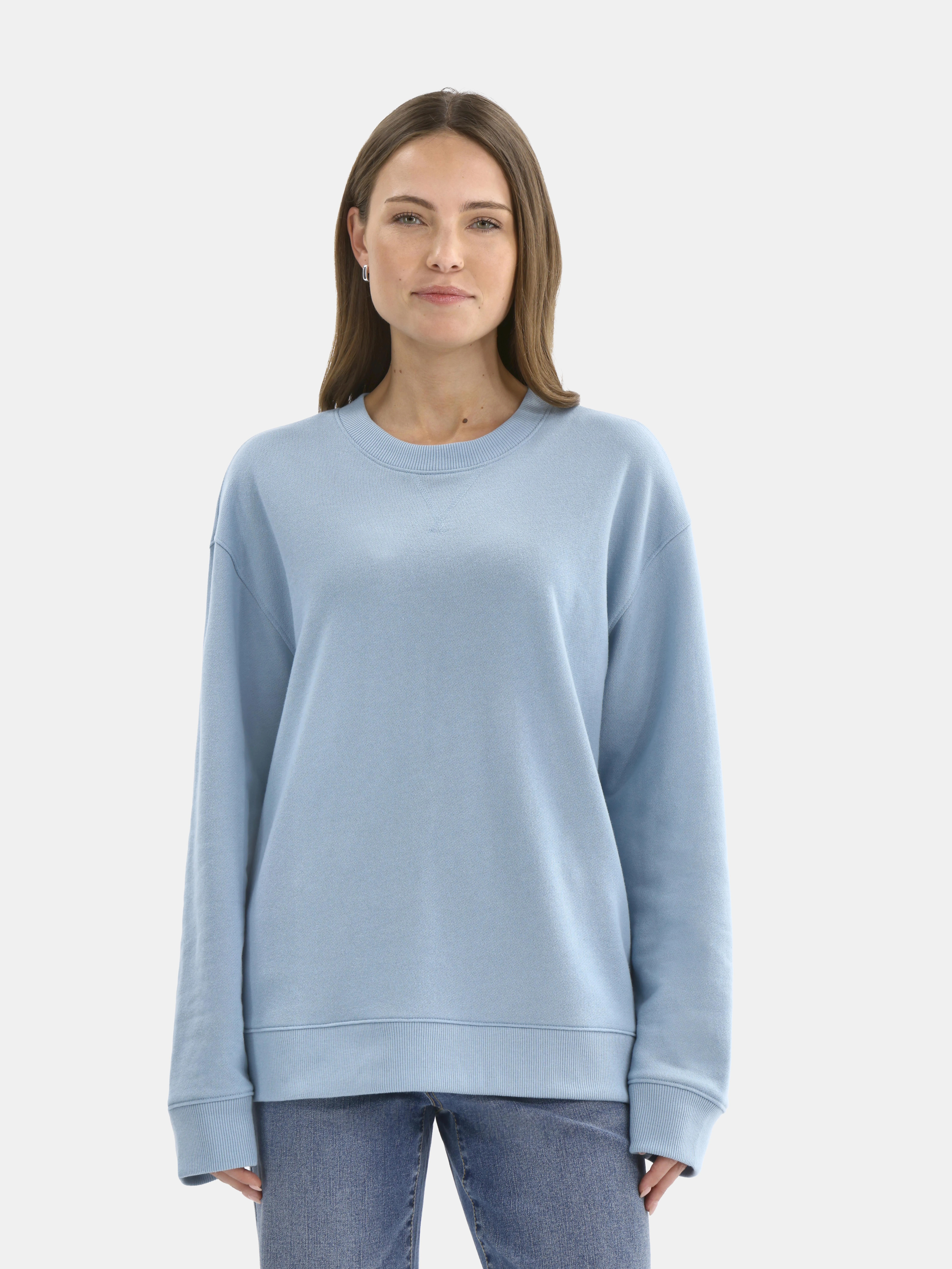 Time and Tru Women's and Women's Plus Crewneck Sweatshirt with Long Sleeves, Sizes XS-4X - Walmar... | Walmart (US)
