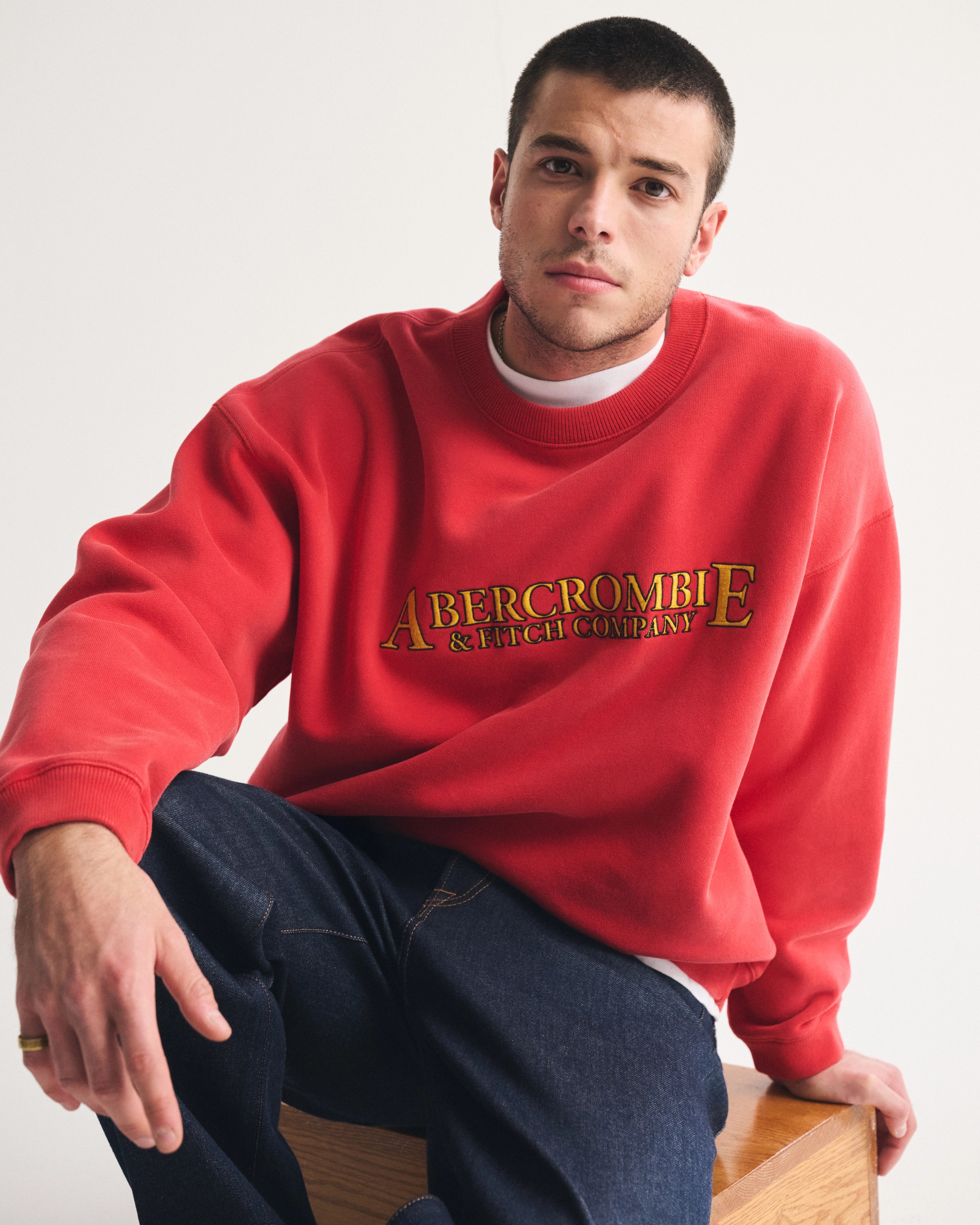 Logo Crew Sweatshirt | Abercrombie & Fitch (US)