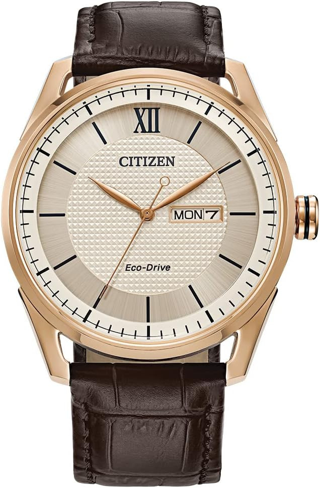 Citizen Men's Classic Eco-Drive Watch with 3-Hand Day and Date | Amazon (US)