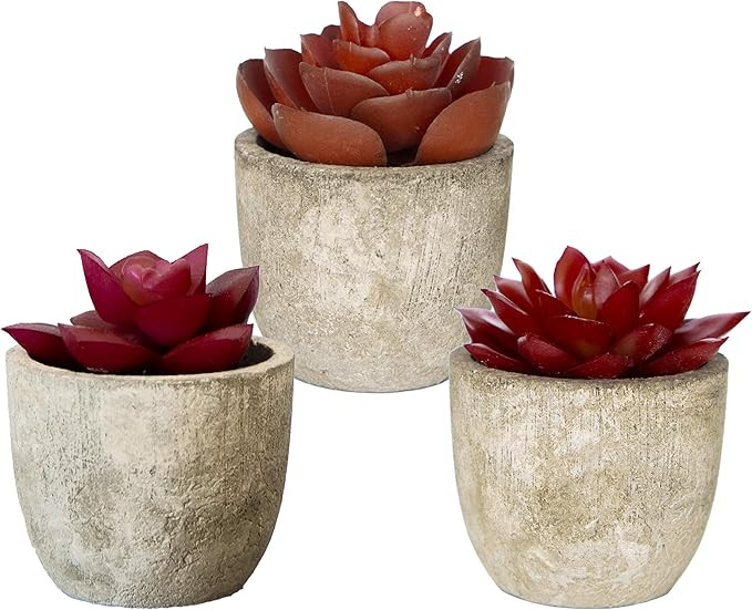 3 Artificial Succulents Plants Artificial Pot Small Fake Plants Bedroom Aesthetic Fake Succulent ... | Amazon (US)