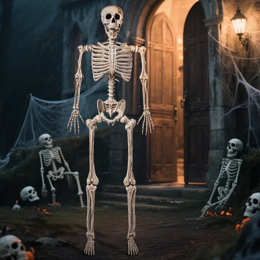 5.6 FT Halloween Posable Life Size Skeleton Full Body Realistic Bones with Movable Joints for Hal... | Wayfair North America