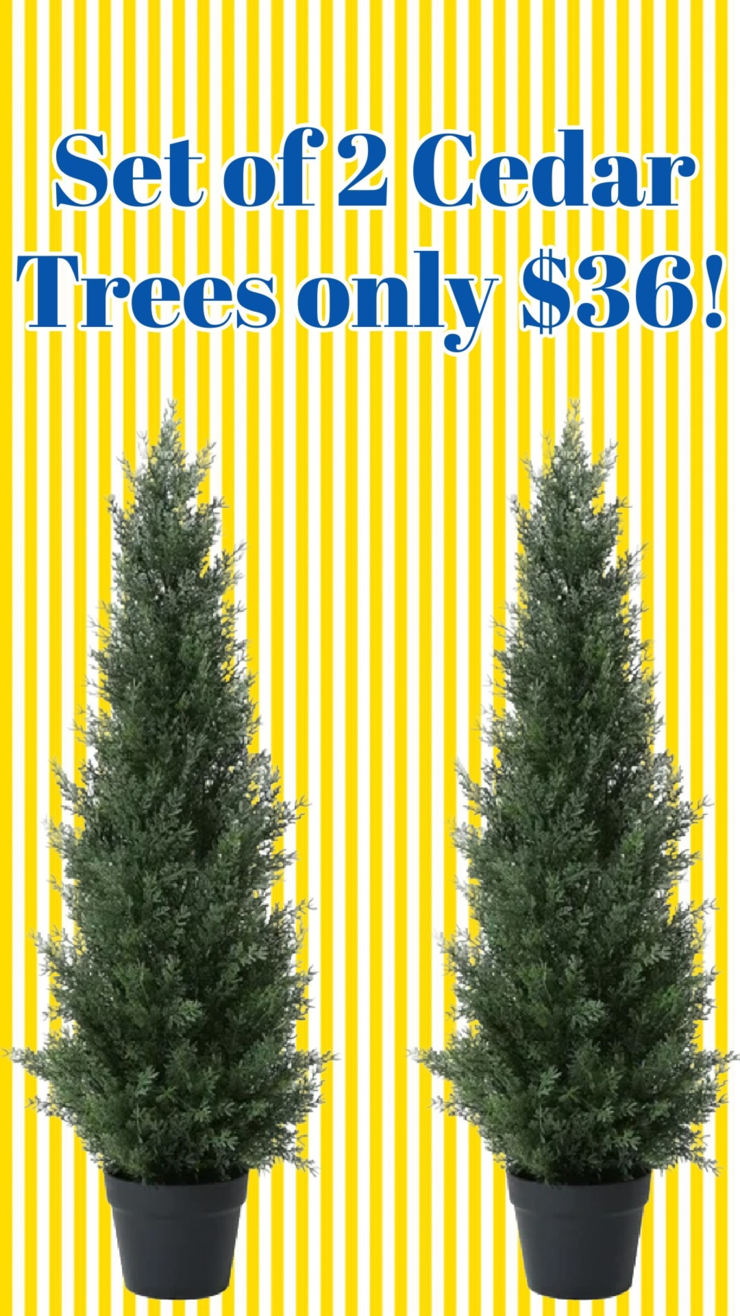 Set of 2 cedar trees on sale! 

Front porch decor, Walmart deals, prime deals

#LTKSeasonal #LTKHome #LTKSaleAlert