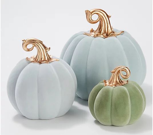 Barbara King Set of 3 Decorative Velvet Pumpkins | QVC