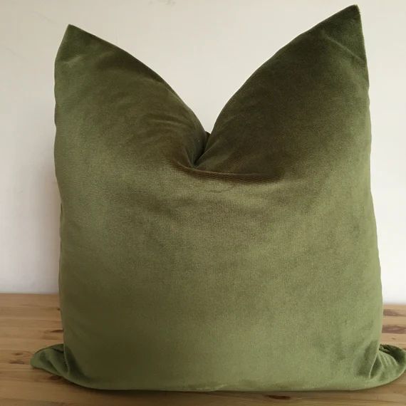 Green Velvet Pillow Cover Green Velvet Pillow Green Throw - Etsy | Etsy (US)