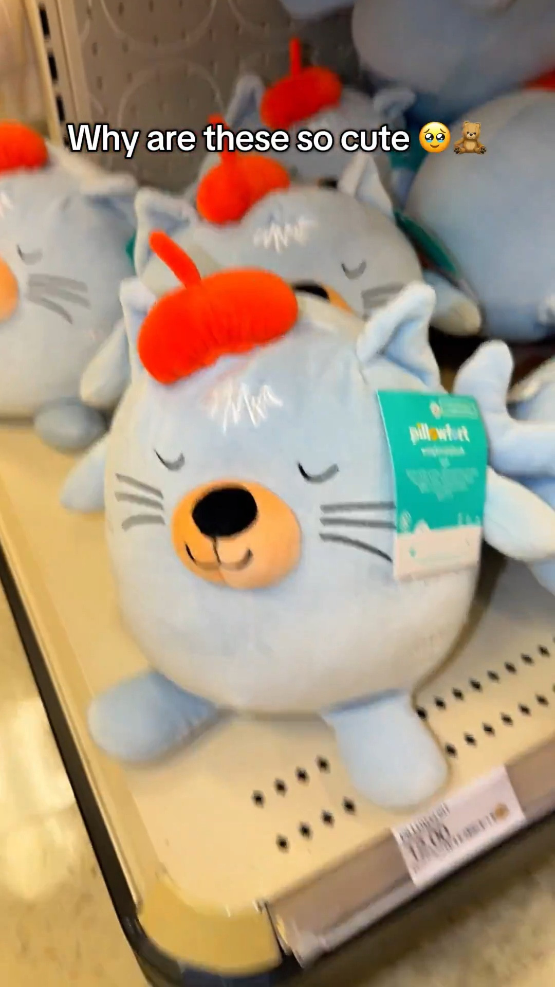 I didn’t expect to fall in love with stuffed animals today… but here we are 🥹🧸
Why are these at Target SO cute?!    LTK Link on Bio !#targetfindst#targetruns#stuffedanimalsp#plushiesc#cozyfinds  

#LTKKids #LTKU #LTKValentine
